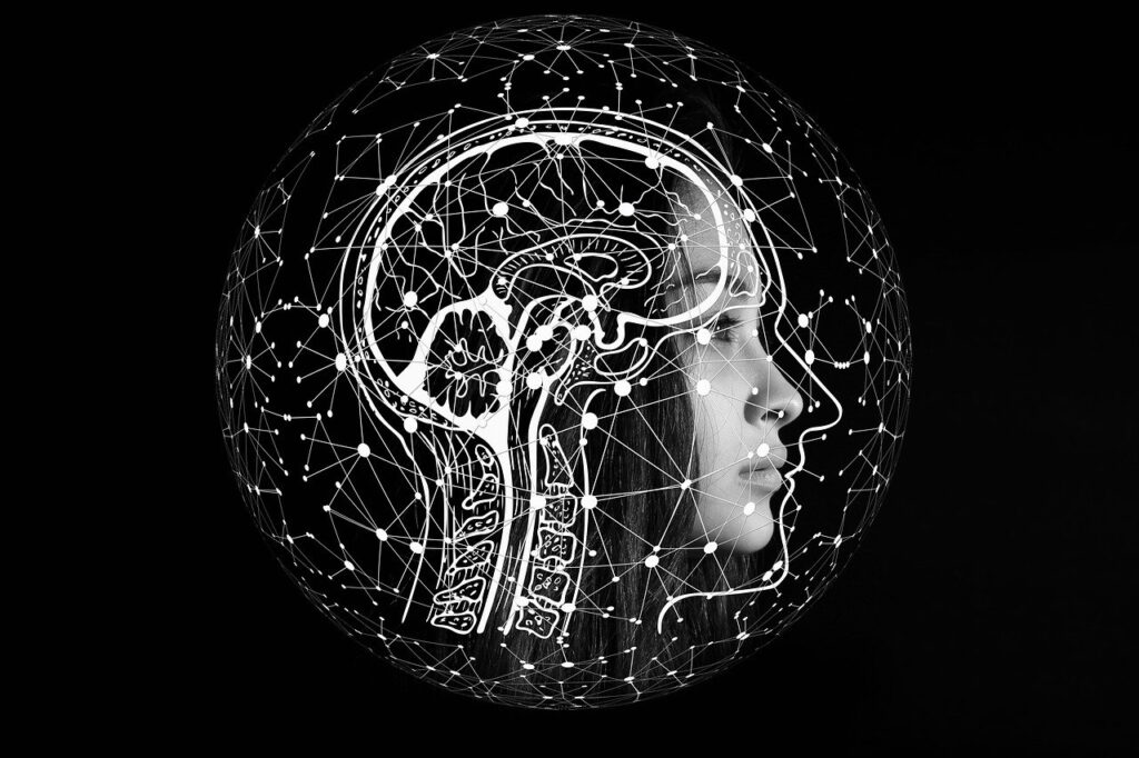 Brain Support Network
